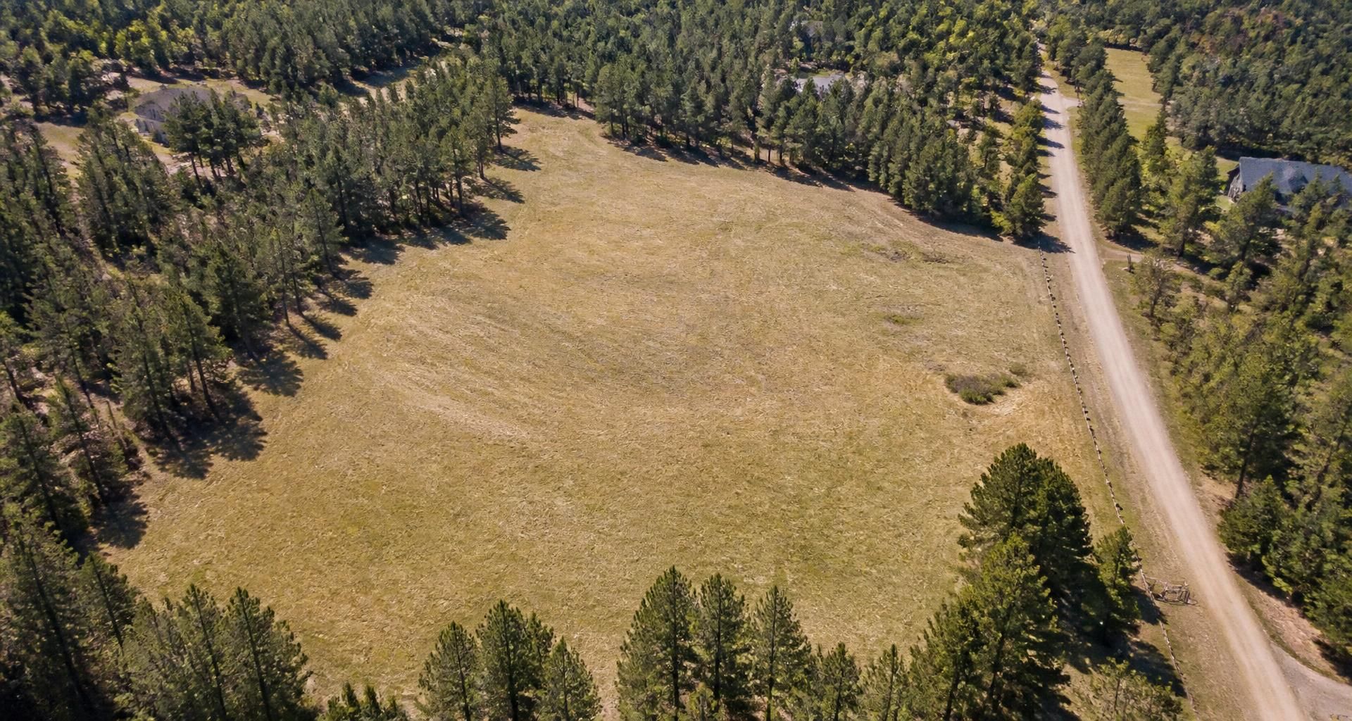 Aerial view of a large vacant land parcel bordered by trees